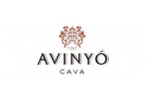 Caves Avinyo